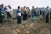 1987 Trees and grasses being planted