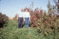 Windbreak on the farm of Don and Phyllis Conley.