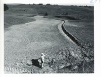 Lester Roeder waterway after shaping and seeding, 1961