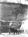 People with horse and cart at base of eroded surface of gypsum beds, Fort Dodge, Iowa, late 1890s or early 1900s