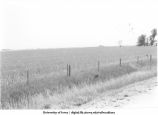 Jacobs, Iowa. MSTL
