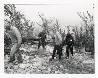 1970? Four men walk along brush and rocks near Mississippi River