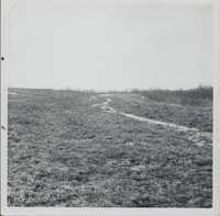Terrace on G. Stuber's farm.