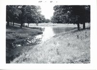 Pond, 1965