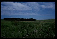 Underwood Property - EAS Areas.