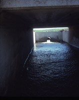 Drop inlet (riser) on the Bumann farm.