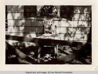 Denise the dog at table