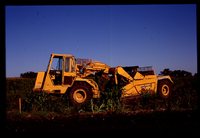 Restoration Project on Smokey Stover's Farm.