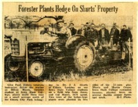 Forester plants hedge on Shurts' acreage. 