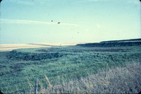 Grassed, broad-based terraces on Franklin Dodd's farm.