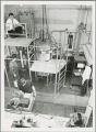 Four researchers at work