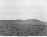 Moranic hills of Wisconsin Drift, Iowa, late 1890s or early 1900s