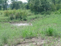 2007 Jack Strawhacker photos of pastures and ponds