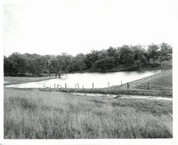 Farm pond
