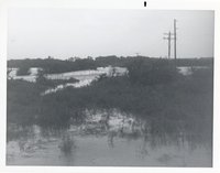 Photograph Collection Of Flooded Soap Creek, 1982 