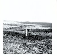 Ward Patterson farmland