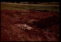 Wetland Project on Jeff Morrison's Farm.