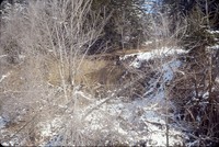 Winter gully.