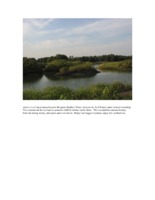 Conservation Reserve Program Shallow Water Area