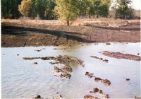 2002  Wetland Construction at Brockway LLLP
