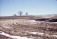 Broad-based terraces on Ed Claus' farm.
