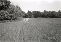 1995  Proposed Terracing Project site on Dale Edmonds' farm