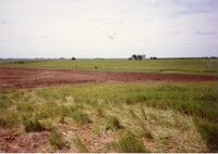 1996  Terraces built by Vera Miller