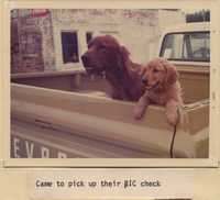 Pups Came to Pick Up Their BIC Check.