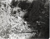Dwight White Dam Failure