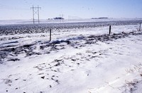 Snow in winter cover.