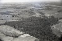 Aerial Views of Forest and Farmland
