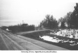 Chamberlin, Iowa. DMCI