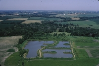 Douglas Township, Section 16.