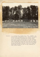 1937 - Harvested cords of wood from dead and thinned trees 