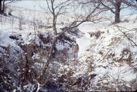 Winter gully.