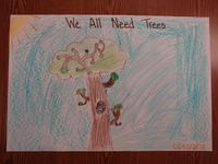 Henry County Soil and Water Conservation District Poster Contest, 2016