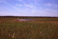 Larry Braby's Farm Before and After a Wetland Construction Project.