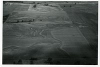 1966 - Unidentified Views of Farmland from Plane