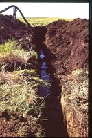 Restoration Project on Smokey Stover's Farm.
