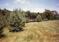 1987 Jeff Royer Pond