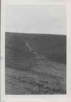 Erosion in farm field in Plymouth County, Iowa