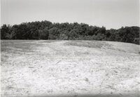 1995  Proposed Terracing project site on Dale Edmunds' farm