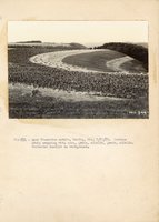 1934 - 1938 Multi-State Photograph Collection  