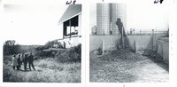 Feedlot pollution control