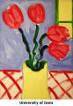 July Fourth Tulips
