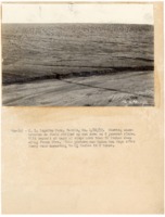 1937 - Sheet erosion after heavy rain with silt deposit