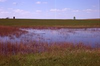 Waterway Construction on the Moeller Farm.