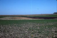 Larry Braby's Farm Before and After a Wetland Construction Project.