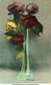 Roses in glass vase, postcard, 1914
