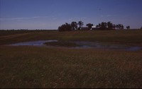 Wetland Project on Jeff Morrison's Farm.